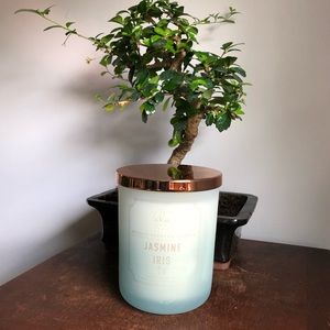 DW Home Candle - Jasmine Iris